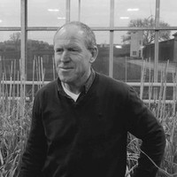 Peter GREIF