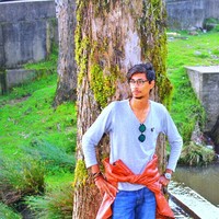 Vikas D U