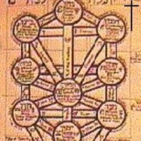 Seginobrissley Cortezdemedeiros