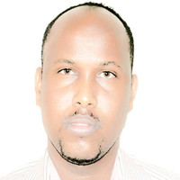 Mohamed A. Elmi