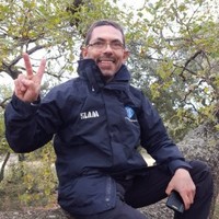 Román Mas Año