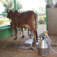 Kapil Patel