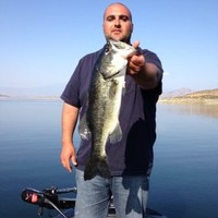 Joe Habib
