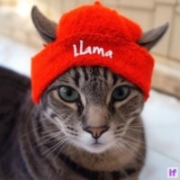jim tom