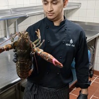 MOHD ADIL