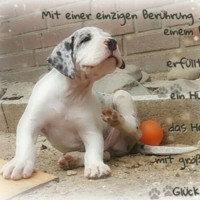 Berti Bäcker