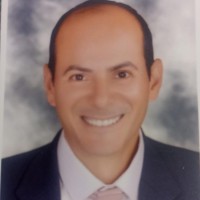 Mamdouh Ahmed Amin