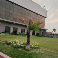 Aqsa Tariq