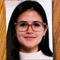 Sonielyz Gonzalez Mendez