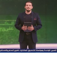 Mahmoud Elsaeid Aamer