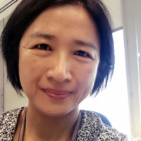 Nan Wang