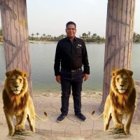 hamada kamel
