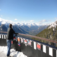 Davie Johnston