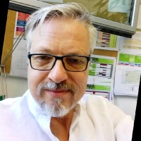 Uwe Meyer