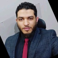 Hussam Hassan El-Sayed