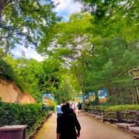 Maramreddy Kondareddy