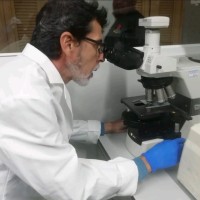 Eudulio Sánchez Arellano