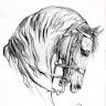 Jose Manuel Luna Godoy