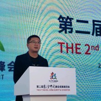 高志华