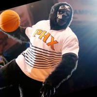 Go Rilla