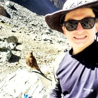 Julio Valdivia Mercado