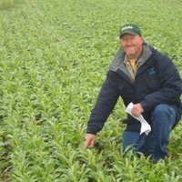 Casper, - NRCS, La Junta, CO