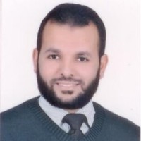Tarek Saleh