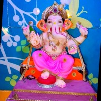 Twinkle Parpalli