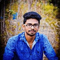 Gokul Vijay