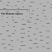 Domain Agency