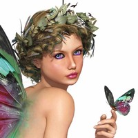 Terri Ferree