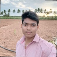 Praveen K