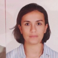 şerife Doğan Dinç