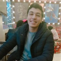 ahmed M. Moghazy