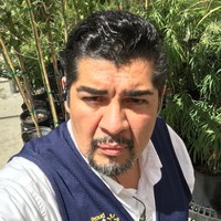 Marin Anguiano