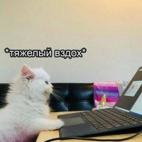 Александр Удовицкий