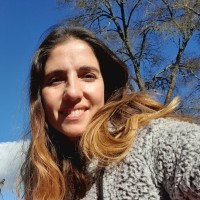 Daniela Travini Berazaluce
