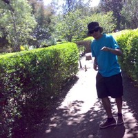 sebastian andres silva nuñez