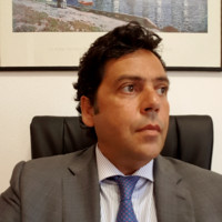 Fabio Stefanelli