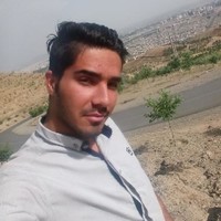Mehdi Amiri