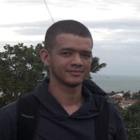 Wilton Júnior