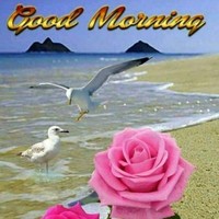 Sunil Shah