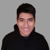 Erick Alexis Molleapaza Palomino