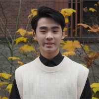 Vincent Nguyen