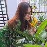 Hạ Lan Dương