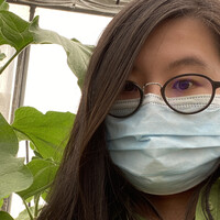 Hwei Ling Chan