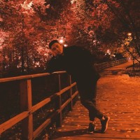Max Palehin