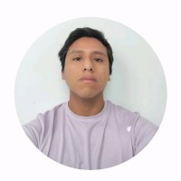 David Quispe Arqque