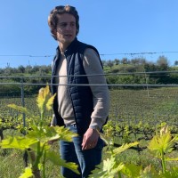 Tommaso Fornari