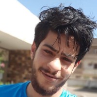 Mostafa Elhalwagi